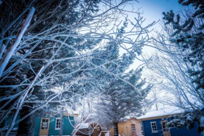 Гостиница Backyard Village  Кверагерди